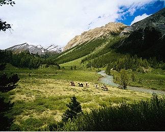 10款几乎没有Boss战的“惊人游戏” 《最后的生还者》在列