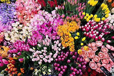 《时空错乱之旅》结束EA正式发售，75折特别好评热卖中